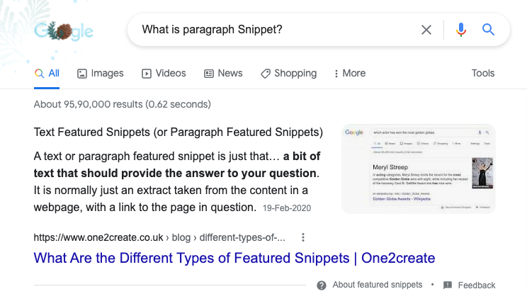 What is paragraph Snippet